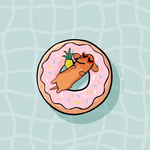 stefanieshank:happy national donut day!instagram @stefanieshank
