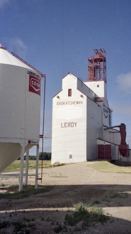 Co-Op Elevator, Leroy, Saskatchewan, 2006.