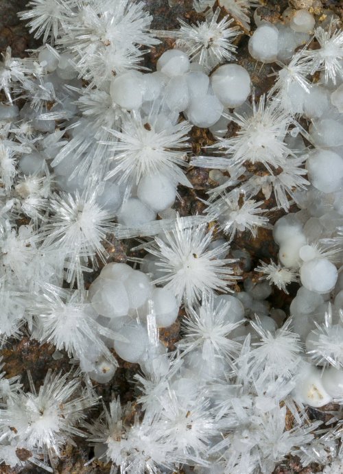 Porn photo bijoux-et-mineraux:   Aragonite with Calcite