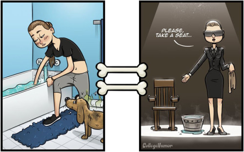 tastefullyoffensive:What Everything Looks Like to Dogs by Robert Brown for College Humor