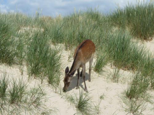 Look At This Little Guy! This Is At Studland Naturist Beach In Dorset, So I Was Naked When I Took This.