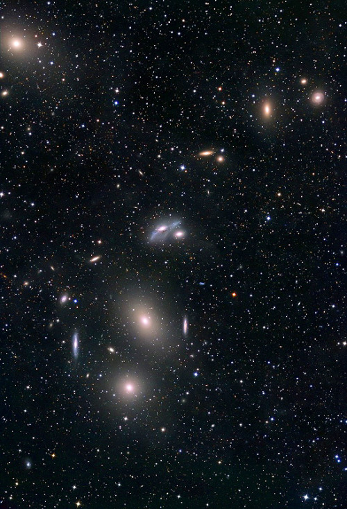 afro-dominicano: Markarian’s Chain: M84, M86, M87 in Virgo byMakis Palaiologou, Stefan Binnewi