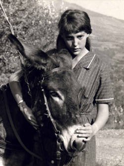 amalgameheteroclite:  Hélène Jeanbrau - Anne Wiazemsky et l’âne Balthazar. Photographie réalisée sur le tournage du film de Robert Bresson Au hasard Balthazar, 1965.