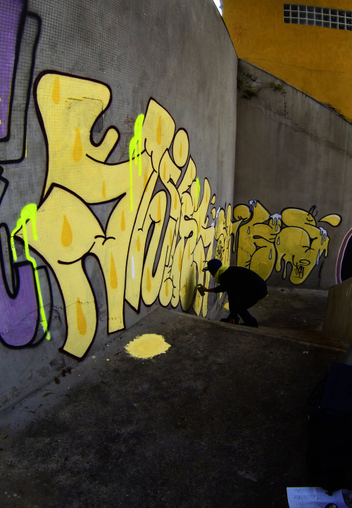 sliks:  SLIKS  ACTION#