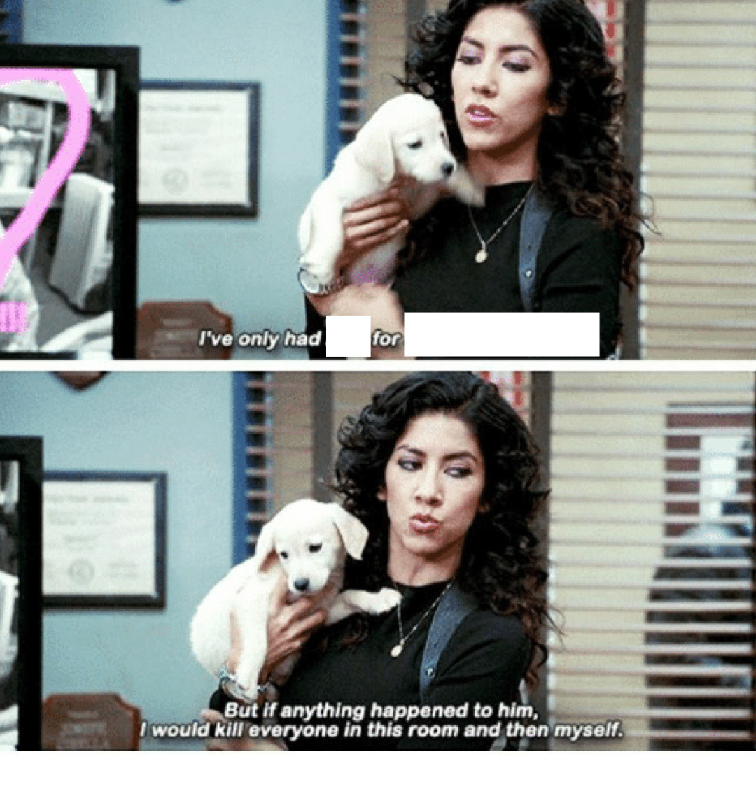 Blank Meme Formats — hi do you have the meme from b99 where rosa is...