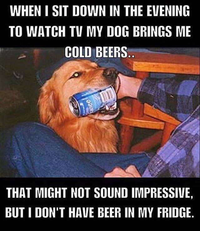 wineogirl:  thewinestalker:  #goodboy  I want that dog..