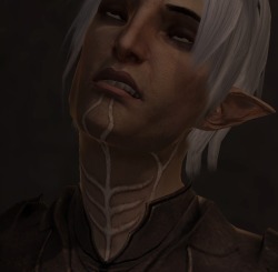 urdnotweed:  oh my GOD hawke i dont fuckign