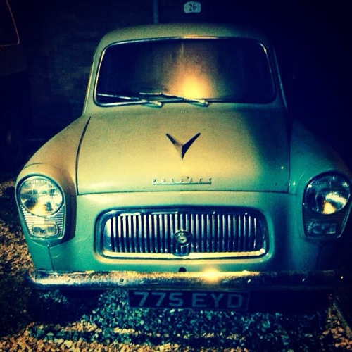 Ford prefect.