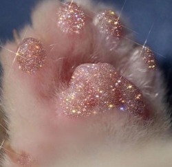 magickalmilkykitty:  wilwheaton:  Kitty Glitter.  Glitter beans!