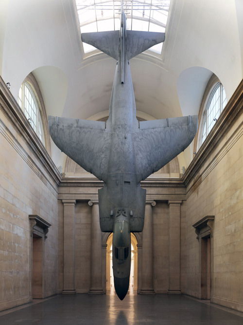 redlipstickresurrected:Fiona Banner (English, b. 1966, Merseyside, England, based London) - 1,2: Harrier and Jaguar, 2010 BAe Sea Harrier Aircraft, Paint  3,4:   Harrier and Jaguar, 2010  Polished Sepecat Jaguar Aircraft