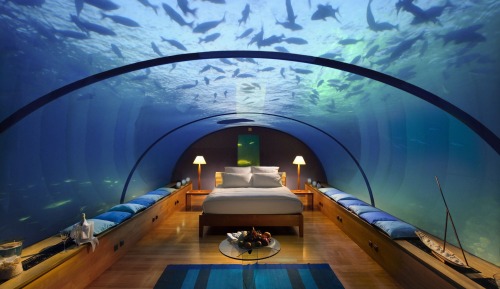 sixpenceee:  Suite in an ocean bottom hotel in the Maldives.   This looks weirdly fake/photoshopped, not sure why