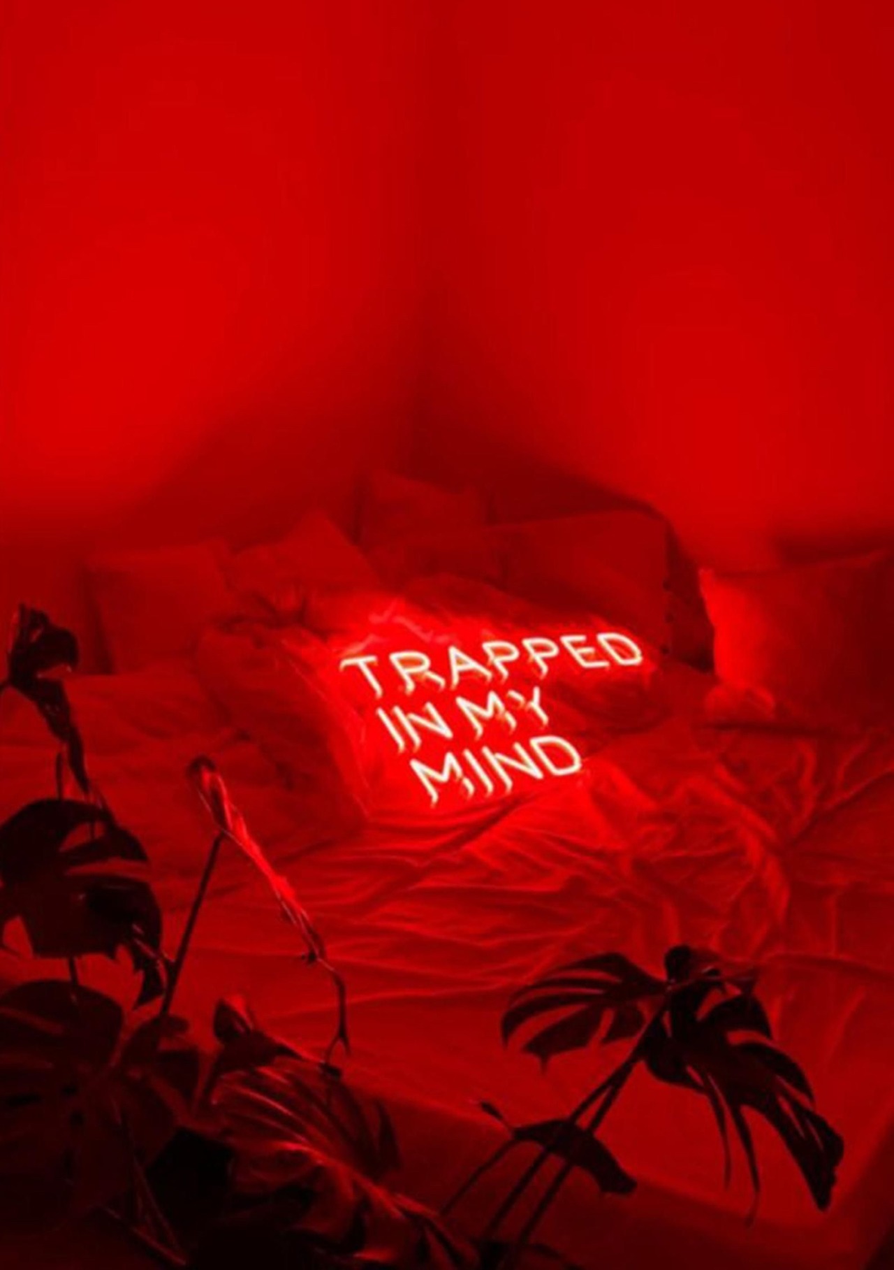 Wasted Love We Wonder What Could Make Us Go Insane