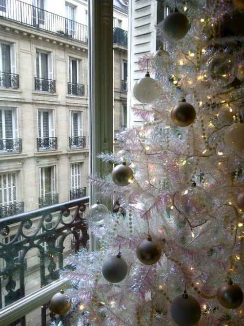 1lifeinspired: Christmas in Paris