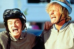 wow247:  Harry and Lloyd are back! Dumb And