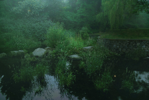 areyoufriendswithyourexs: Bowker Creek by Jillian M. Anderson on Flickr.