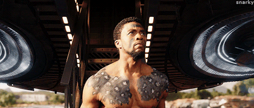 mysnarkyself:▶ Black Panther  (2018) dir. Ryan Coogler