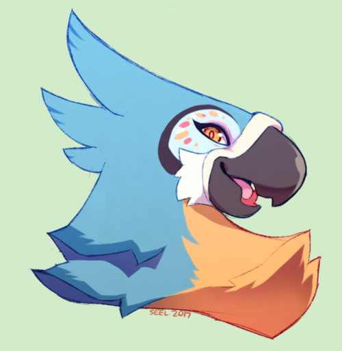 ground-lion: Kass from Breath of the Wild, requested by my dear Patreon supporters!   ❤God, Kass was so fun to draw, why haven’t I drawn him sooner??   Consider supporting me through patreon:★ https://www.patreon.com/seel Follow me on Twitter!★