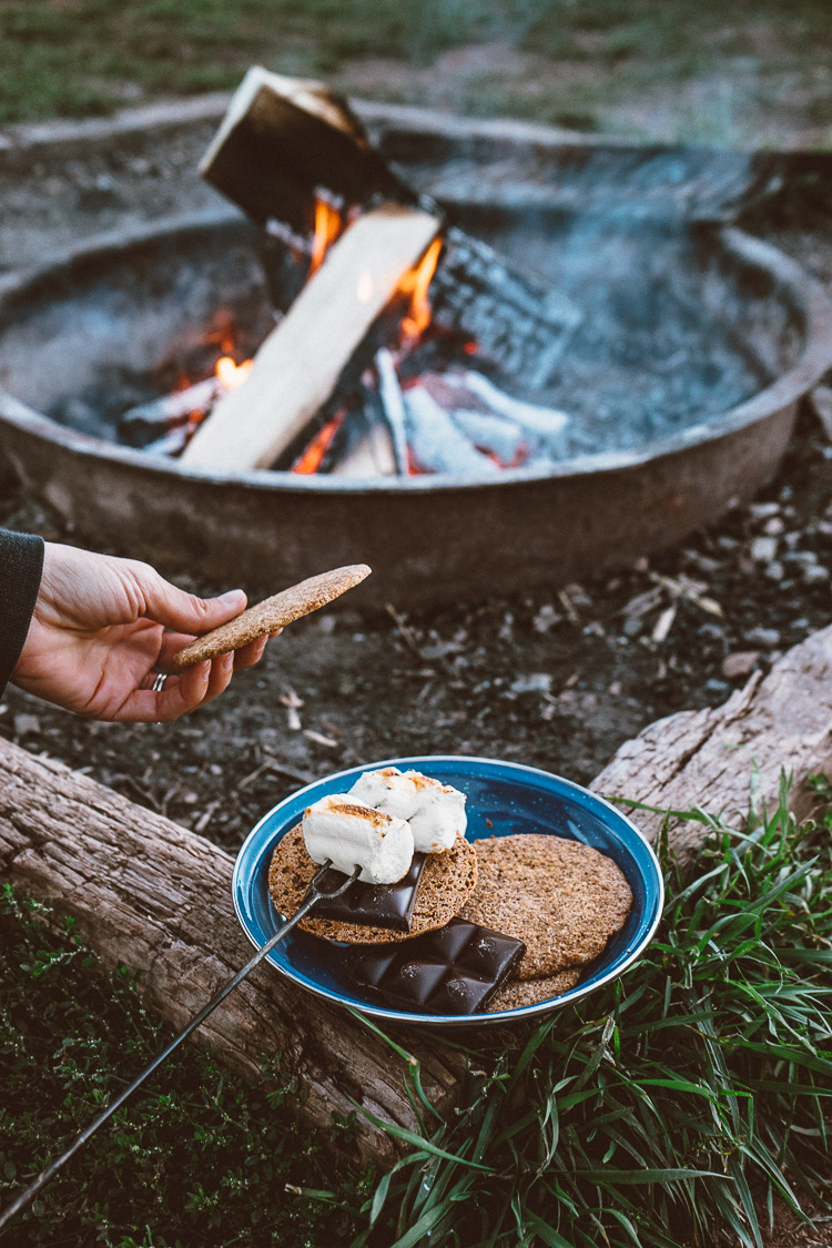 veganrecipecollection:  (via Homemade Graham Crackers + S'mores at Sylvan Lake //