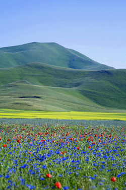 nosens:  castelluccio2 (by Diaframmando)