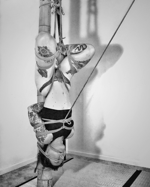 daemonumx:Me tied by Kanso in Oakland, CA May 2017