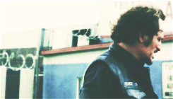 opfealia:  GET TO KNOW ME MEME: favorite tv shows [ 1 / 5 ] • sons of anarchy.