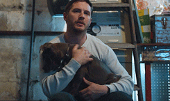 tumblr_inline_pdbaw9Rr511t7kwd3_250.gifv