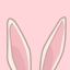 astudyingbunny
