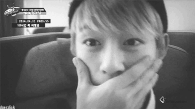 Panda's Typewriter — It's Me or the Pooch!: Daehyun
