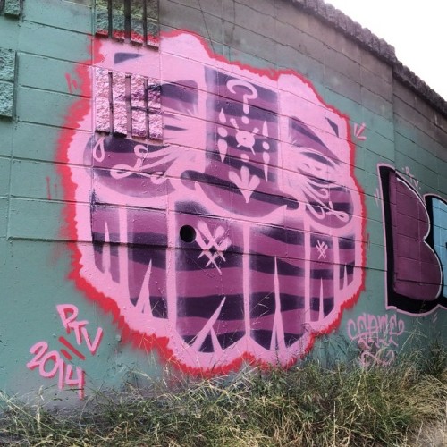 gatsone: Bay Area, California // #Gats #GatsPTV #PunkThugsAndVandals #illegalTrouble #PurpleStripedG