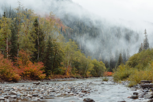 itakephotosofallthethings:Rituals And SecretsMountain Loop Hwy, WA