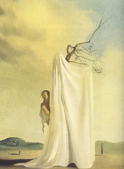 igazie:  Salvador Dali - Figure and Drapery in a Landscape 
