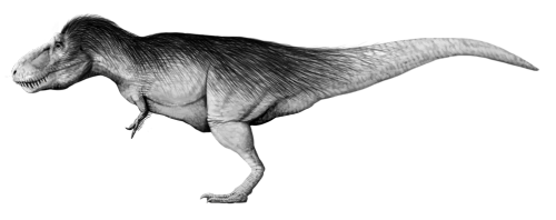 todavia-sirve:Tyrannosaurus rex in its other more feathered glory.I’m not very informed on feathers 