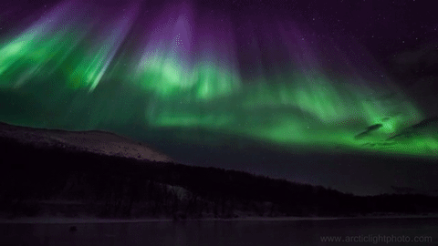 nubbsgalore:polar spirits