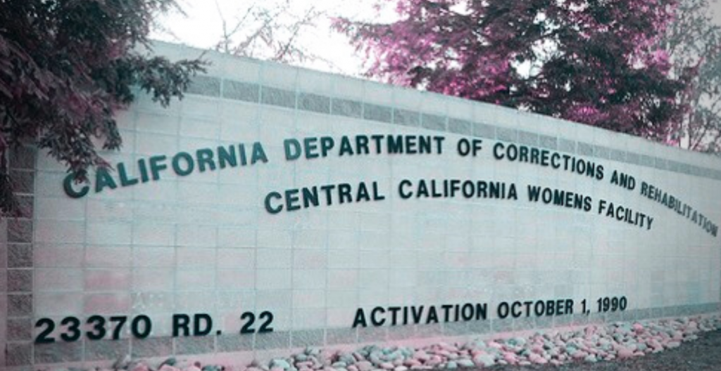 Women Being 'Punished' For Complaining About Male Transfers: Inmate in California Women's Prison - Reduxx