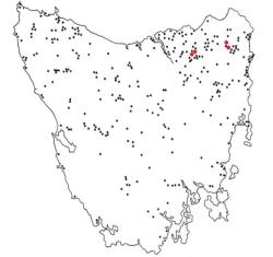 mapsontheweb:  Supposed sighting of extinct Thylacines (Tasmanian Tigers) Between after they went extinct in 1936, and 1986. Black is 1, Red is 5.
