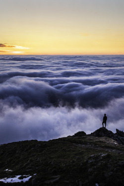 Allgäu, Germany | Alex Fuchs