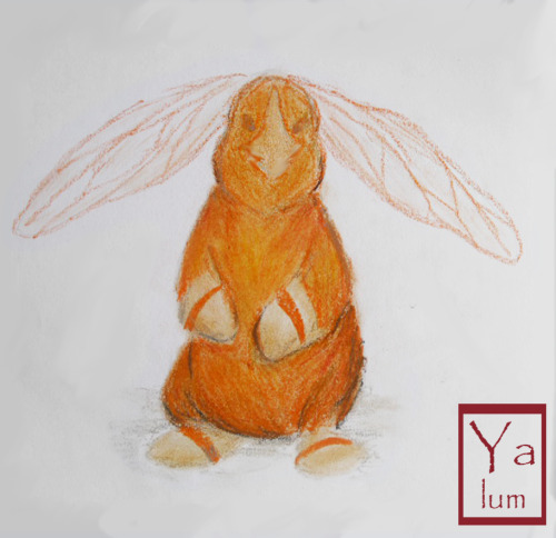 Drawing On Oil Pastel Of A Dragonfly Bunny Spirit . It Is The First Time That I Use This Technique But