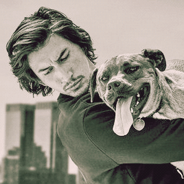 arrivedmad:adam driver and moose