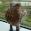 fornothingsblog
