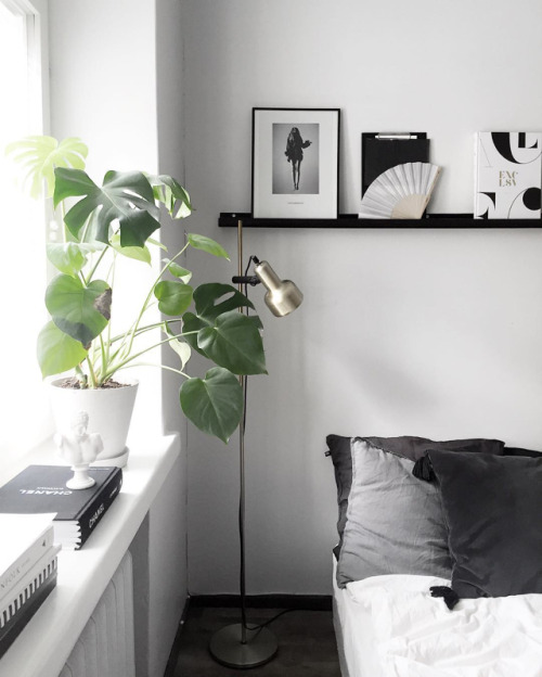 cosyandthegang:  📷 Laura Seppänen 