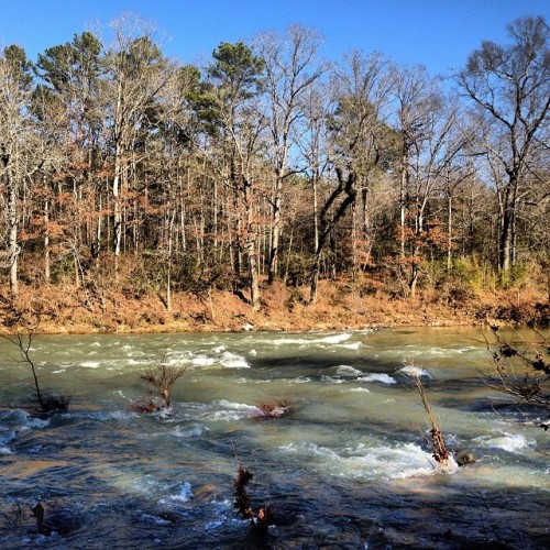 The river’s winter face: cold, busy, and blue-green. #riversedgecottages #mountainforkriver (at Rivers Edge Cottages, Watson, OK)