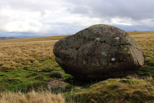Prehistoric Way Marker or Glacial Erratic, Oddendale, Cumbria, Lake District, 4.11.17.Located within
