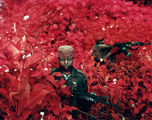 Infra, by Richard Mosse.Richard Mosse’s photography captures the beauty and tragedy in war and destr