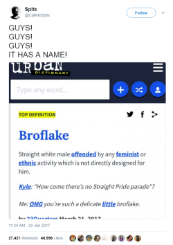 profeminist:  Source “Broflake. Can you use it in a sentence?” “My last post about the Wonder Woman screening brought an instant avalanche of broflakes into my comments.” 