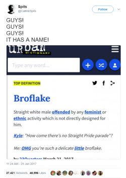 profeminist:  Source “Broflake. Can you