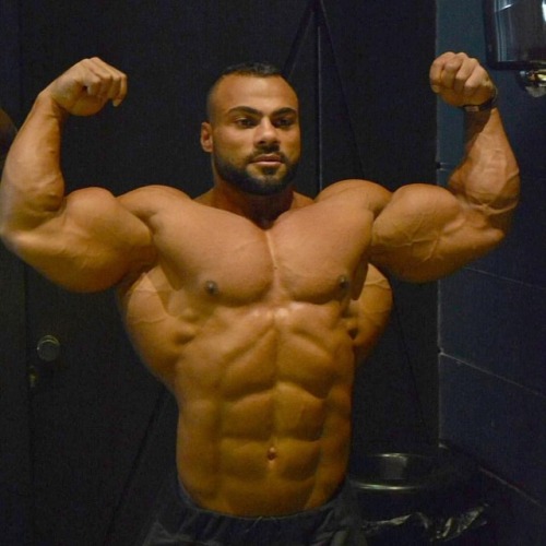 drwannabebigger:my boy Galal Zakaria