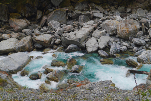 20160930 - Gates of Haast, Mt Aspiring National Park: From our South Island road trip. Have never se