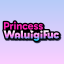 princesswaluigifuc