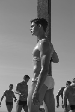 speedobuttandtaint:  Speedobuttandtaint. With  over 47,000 amazing and tasteful followers. More than 200,000 posts of the hottest men ,the speedos they sometimes wear and the butts they show. Thanks for everything 