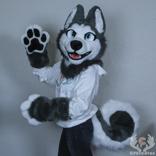 Show your good side with this steal of a deal! This husky partial only has 4 days left to buy and st